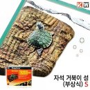 거북이 카카오 검색결과