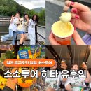 세류3 879-31 | 후쿠오카 버스투어 소소투어 유후인 히타 삿포로 맥주공장