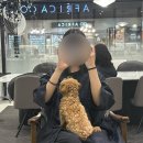 보그헤어 교보합정점 | [공지] [박승철헤어스투디오 교보합정점] 내돈내산 방문 후기 ☆