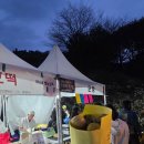 세종이마트 버스정류장 | 세종 영평사 낙화축제 후기(25.10.18.(토))/낙화축제 꿀팁/대전 탄방동 원잇투메종탄방 꿈돌이산도/롯데...