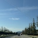 와바수산 | [ 태안 ] 사목공원 캠핑장