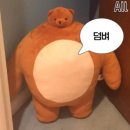 짐 엘리트 진천점 네이버블로그