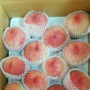 대월농장 이미지