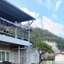 삼랑진팽나무펜션 이미지