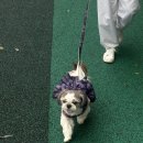 용화로+온화로 이미지