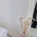 천안체형관리 이미지