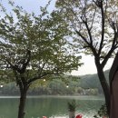 애룡원두막 이미지