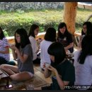 순천강남여자고등학교 이미지