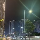 방배로28길 25 | [8월 일상] 이북리더기 루나2 내돈내산 사용 후기 | 서초 내추럴 와인바 립프린츠 | 방배역 우동 키누...