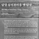 창평어린이집 이미지