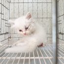 태평2길 이미지