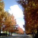 안동시민운동장 이미지