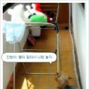 한비 이미지