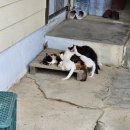 대호농장 이미지