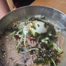 둔내막국수 - 성남시 수정구 위례광장로 34 | 부산 물막국수 맛집, 여름이면 생각나는 수영구 둔내막국수 가족 후기