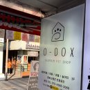 오독스(O-DOX) 이미지