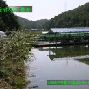 왕골 낚시터 이미지