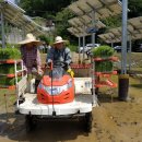 한빛 태양광발전소 이미지