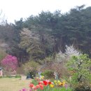 노을정원 이미지