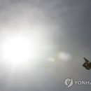 PARROT KOREA 이미지