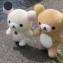 해바