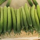 주식회사효성유통 이미지