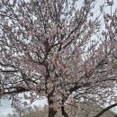 해미-비상-5 | [충남 서산] 역사와 문화를 볼 수 있는 &#39;서산 해미읍성&#39;