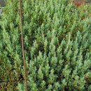 양촌목장 이미지