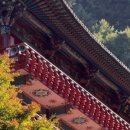 예스김밥카페 이미지