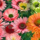 농업회사법인 정원 이미지