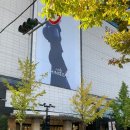 일상기록 : 2023년 스타벅스 크리스마스 에디션 구경후기 신세계백화점마산점