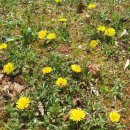 동변초등학교 이미지