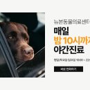 뉴본동물의료센터 이미지