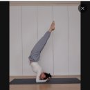 비비드요가&웰니스스튜디오