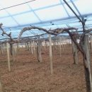 옥분농장 이미지