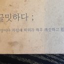 끌밋머리
