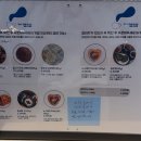 카페,The(더)좋은날 | 일산 애견카페 테일더블루 후기! 비 오는 날 가기 좋은 실내 애견카페 추천