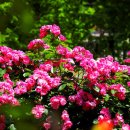 정관 구목정공원 이미지