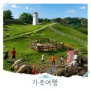 빅카우체험농장 | 대만 패키지 여행 타이중 칭징농장 가족여행 완전강추!