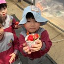 샘물농장 2 이미지