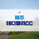 GS25제주테디밸리CC점 | 제주 테디밸리CC 로 제주골프여행 다녀왔어요