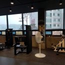 빌드머슬짐 이미지