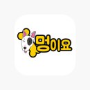 몽모드펫 이미지