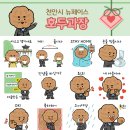 호두미디어 이미지