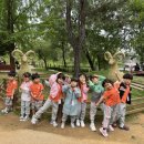 하이얀목장 이미지