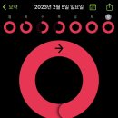 벨벳트렁크현대 이미지