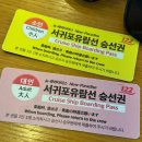 대문자 P 남매의 3박 4일 제주도 여행 (12월 겨울 제주, 뚜벅이 여행 후기)-(2)