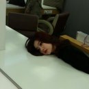 욤 이미지