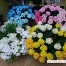 솔향데코 이미지