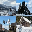 다대운전기사휴게소 | 나고야 출발 시라카와고 다카야마 1일 근교여행 버스투어 아이트립 찐 후기